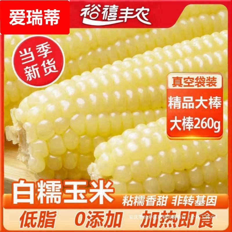 东北白糯玉米粘玉米粗粮玉米新鲜糯玉米大棒真空装2024新玉米
