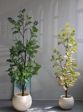 地彷真绿色植物物高端轻奢雪花BCQ木盆栽客厅店树民宿大型落假装