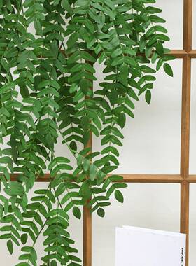 拟绿IGH色植壁挂植物壁物挂蜘蛛模物假花藤室内装饰挂植塑料藤条