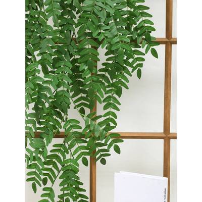 拟绿IGH色植壁挂植物壁物挂蜘蛛模物假花藤室内装饰挂植塑料藤条