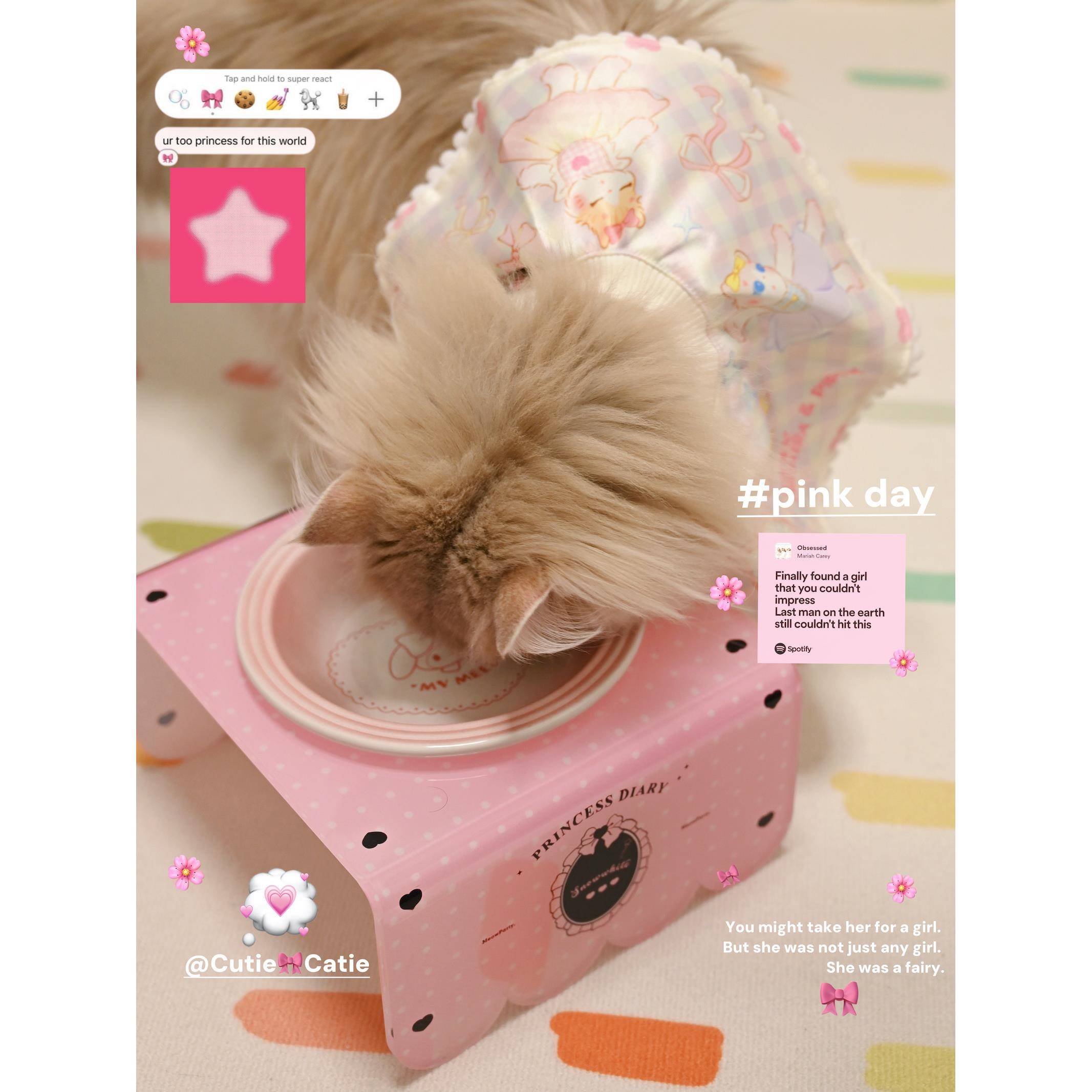 碗陶瓷大口径酷彩bNDId猫碗碗增高架子宠猫物架狗支架压碗克力猫