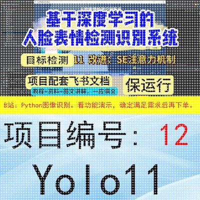 Python深度学习项目系统大全1-30(看好序号进行选择下单)