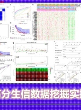 生信发文数据挖掘 WGCNA+分子分型+预后预测模型SCIR语言分析期刊