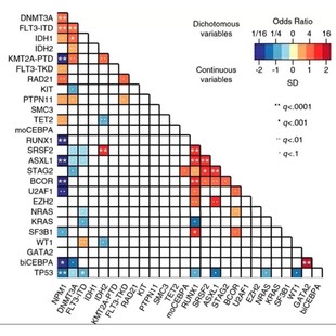 扩增子16s数据挖掘分析 微生物基因组物种功能差异统计入门教学