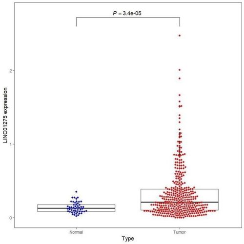 生信分析服务多组学联合分析TCGA GEO公共数据库挖掘孟德尔随机化
