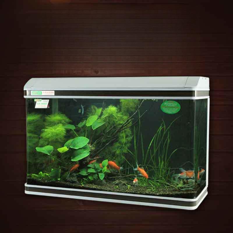 中型金鱼缸超白米.米客厅生态玻璃长方形免换水族箱