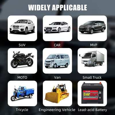 E-FAST Lead Iron  LiFePo4 Battery Charger 12V Automotive Bat