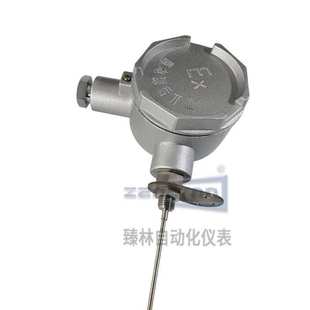 现货热销工业测温用防爆铠装 241支持定zhi 热电阻带固定支架WZPK