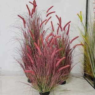 仿真狗尾草 风铃花盆栽造景绿植 室内造景菖蒲草芦苇草毛毛虫草