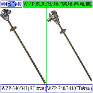 241 WZP2 热电阻 防爆热电阻 固定螺纹连接 WZP ExdIIBT4隔爆 240
