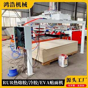 全自动平贴机 木饰面碳晶板大板贴面机 冷热胶两用PUR胶膜覆膜机