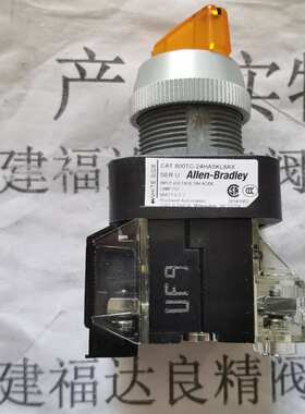 AB罗克韦尔按钮开关800H-QRBH2GA2