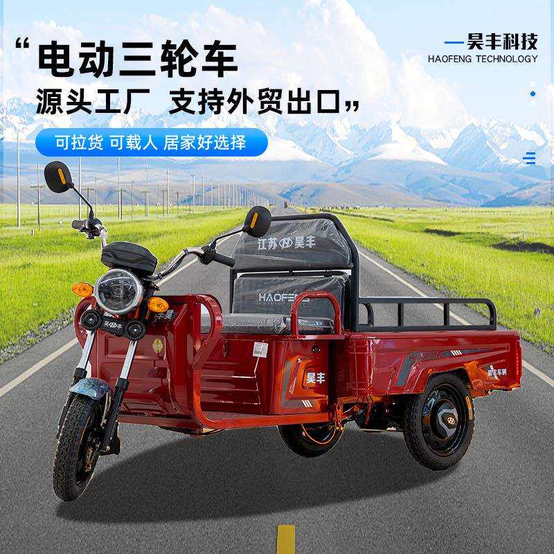 电动三轮车拉货外贸出口家用代步车大功率农用货运车电瓶三轮车