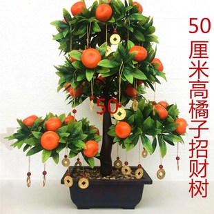 仿真植物盆景塑料橘子树小盆栽假客厅摆件装饰假桔树仿真树大盆景
