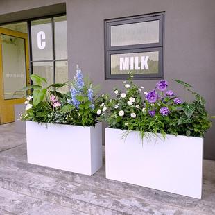 喜蒲公英绿语外花户箱绿植装仿真公英绣球杜鹃花落地绿蒲植广场售