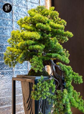 禅宗饰品中国风实木人工欢迎新饰松木入CWU口客厅家居软家具盆景