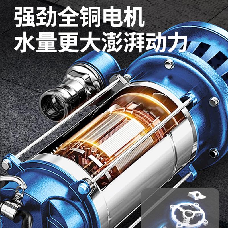 污水泵家用2v抽粪浆化粪池切割式排污0泵抽2水泥泵沼气池不锈钢污