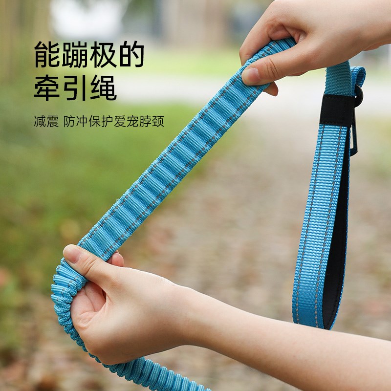狗狗牵引绳安全卡扣弹力缓冲狗绳多功能防爆冲遛狗狗链中大型犬