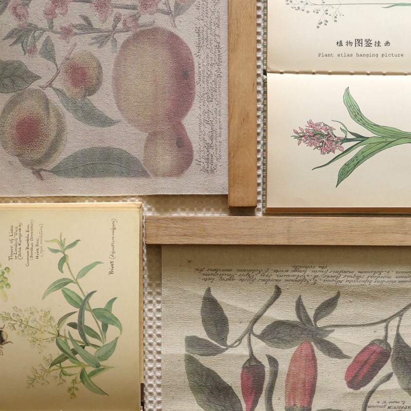 叁杉家居书房书桌墙面装饰画美式复古卷轴挂画植物花卉图谱免打孔图片