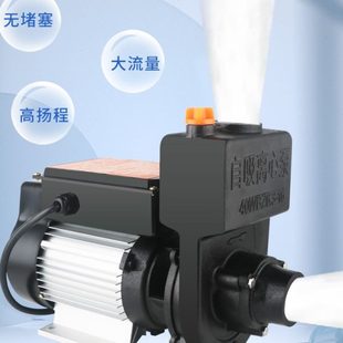 直流自吸离心泵环卫搅拌无刷高扬程水泵24V48V60V洒水车2寸自吸泵