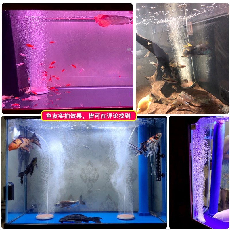 老渔匠鱼缸纳米气盘超静音低压气泡盘增氧气石细化器雾化沙盘气盘