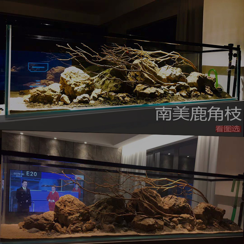 小缸造景鹿角枝原生缸布景南美鹅卵石造景鱼缸装饰小树枝造景组合