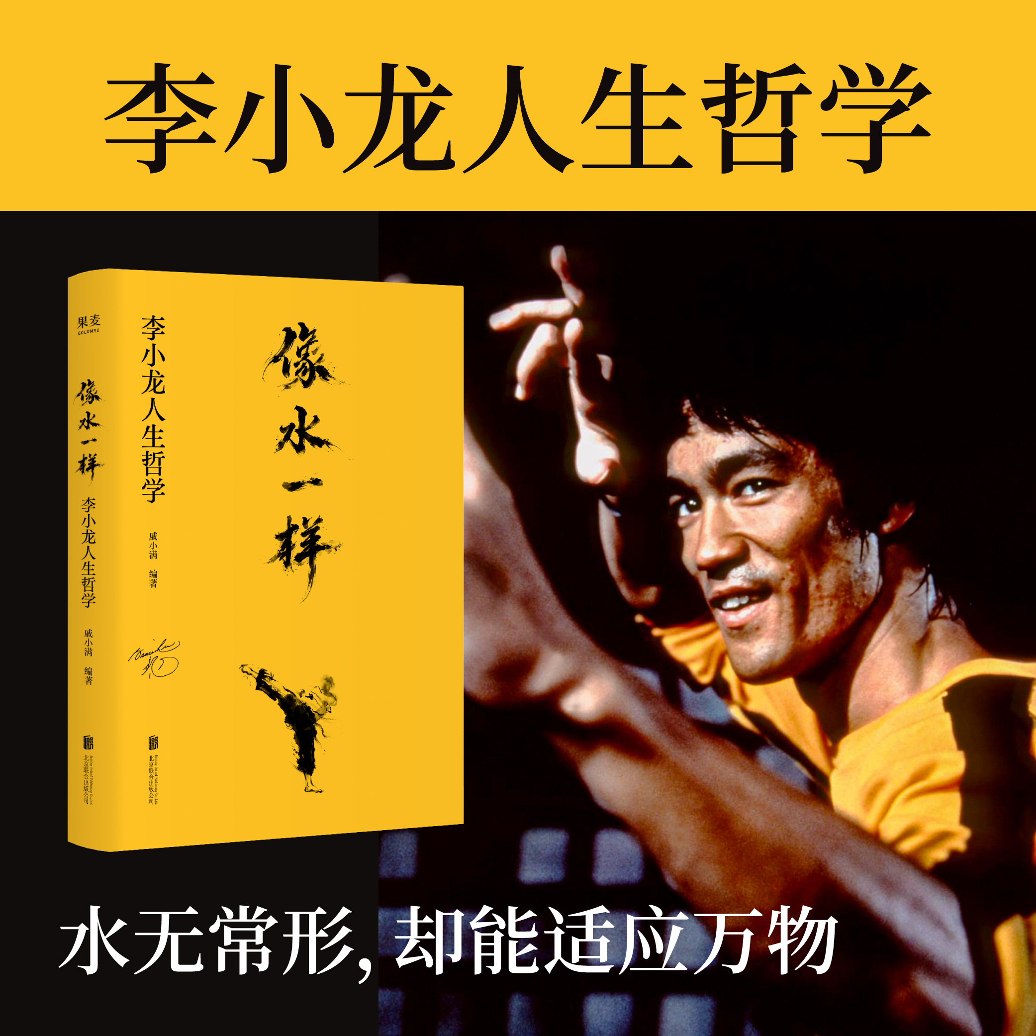 像水一样李小龙人生哲学戚小满著从一代武学宗师的真实经历出发走进他的精神世界水无常形却能适应万物活在当下保持初心自我世界观