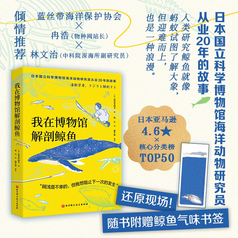 我在博物馆解剖鲸鱼 赠送鲸鱼气味书签和拉页海报 海洋 北京科学技术出版社