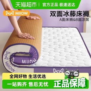 宿舍學生單人海綿墊子 貓人乳膠涼席床墊家用軟墊被臥室床褥子夏季