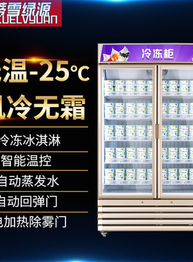 单门冷冻柜立式低温冷冻110V急冻柜冰淇淋低温展示柜跨境出口冷柜