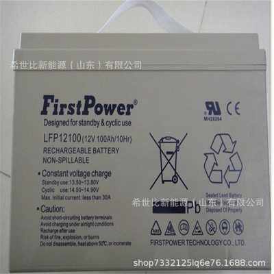 FirstPower一电蓄电池LFP12100阀控式铅酸免维护12V100AH深循环