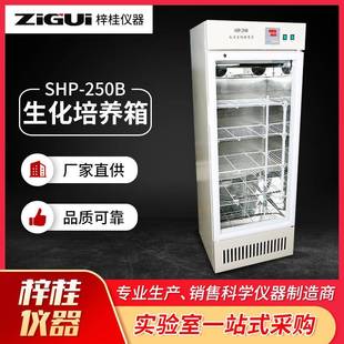 250B大容量实验仪器培养箱非标定制 仪器低温生化培养箱SHP