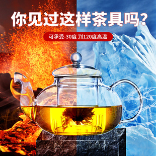 家用单壶简约耐高温茶具加厚带过滤长嘴煮水果花茶壶 玻璃茶壶套装