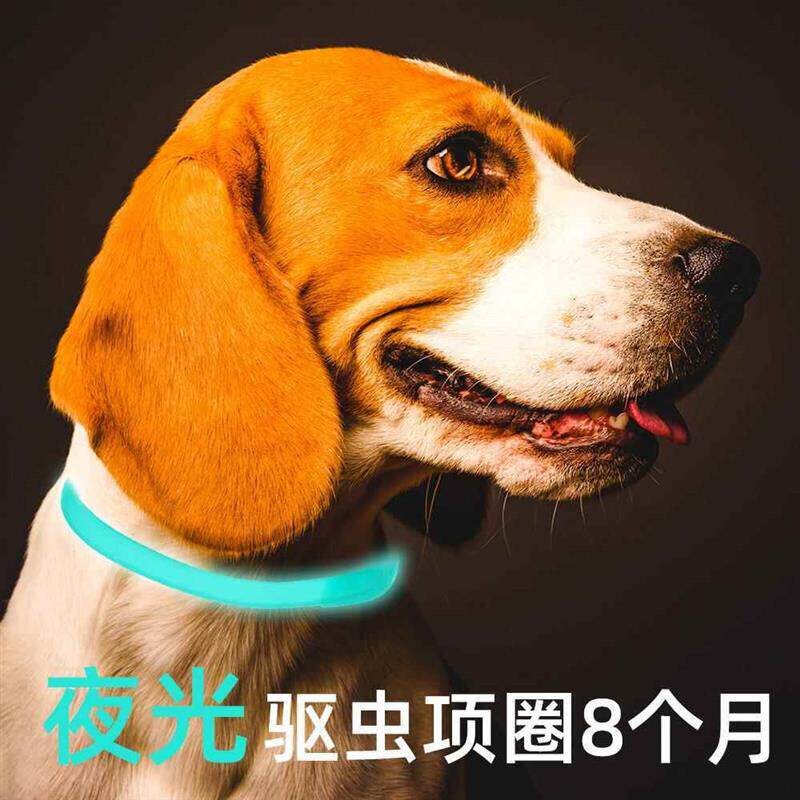 狗狗驱虫项圈发光夜光体外去除蜱虫虱子8个月宠物脖圈猫圈防跳蚤