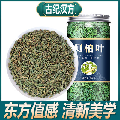 古纪汉方侧柏叶新鲜干货