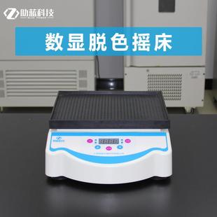 小型振荡器 上海助蓝脱色摇床实验室振荡器水平回旋上下跷跷板式