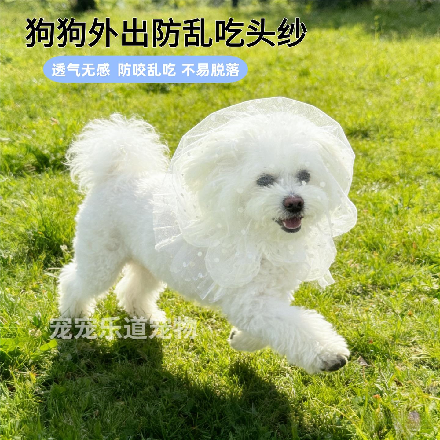 狗狗防乱吃头套防误食嘴套透气户外防偷吃头纱猫咪面罩宠物口罩