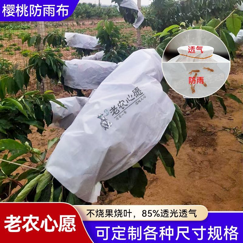 大樱桃专用防雨布李子枇杷树防裂单张防虫加厚款专用防雨纸防晒布
