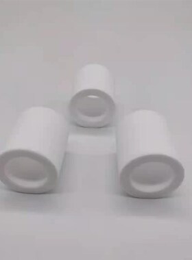 天怡祥VGT-100圆筒滤芯白色滤芯后置过滤器前置过滤器废气分析仪