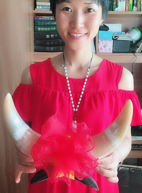 黄牛牛角摆件居家装饰品办公室客厅玄关隔断书房酒吧店铺公司开业