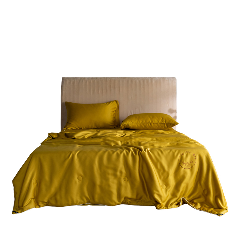 天丝空调被夏被四件套夏季薄款被子夏凉被儿童单人双人春秋被芯棉