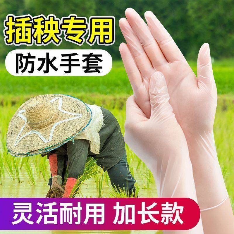 插秧专用手套乳胶防水下田水稻栽秧干活专用劳保加长一次性手套