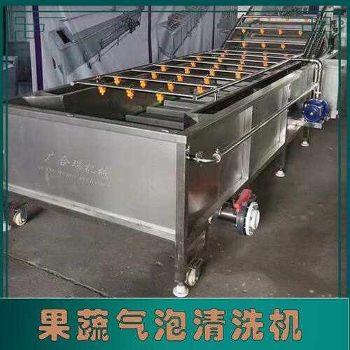 果蔬气泡清洗机 山野菜圣女果清洗风干流水线 自动净菜加工设备