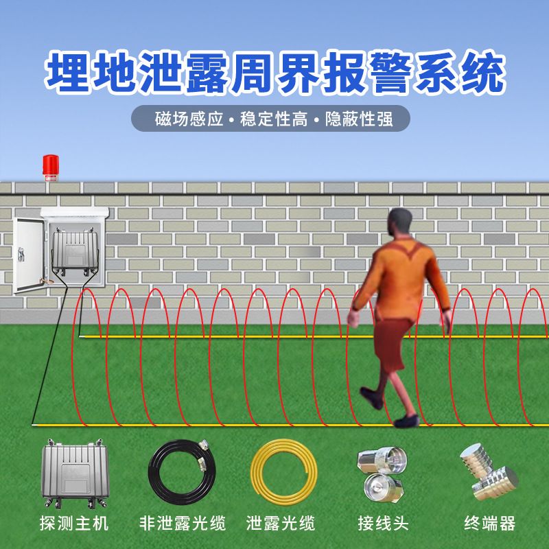 泄露埋地周界报警系统 泄漏电缆报警主机电磁感应入侵报警器