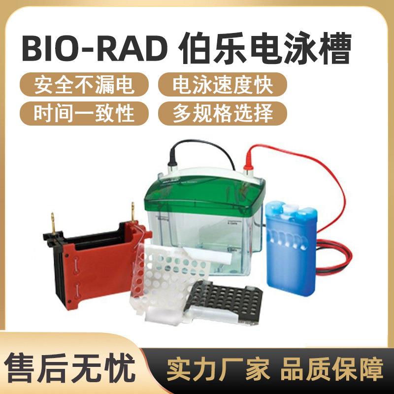 美国伯乐电泳仪小型蛋白垂直水平电泳槽转印槽伯乐Biorad电泳仪