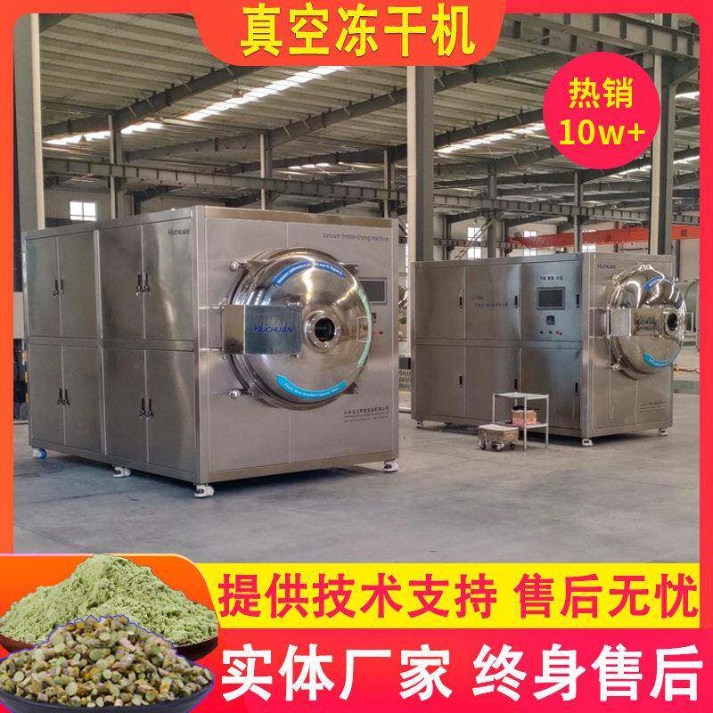 冻干蔬菜荷兰豆机械 水蜜桃果干低温脱水冷冻干燥冻干机流水线