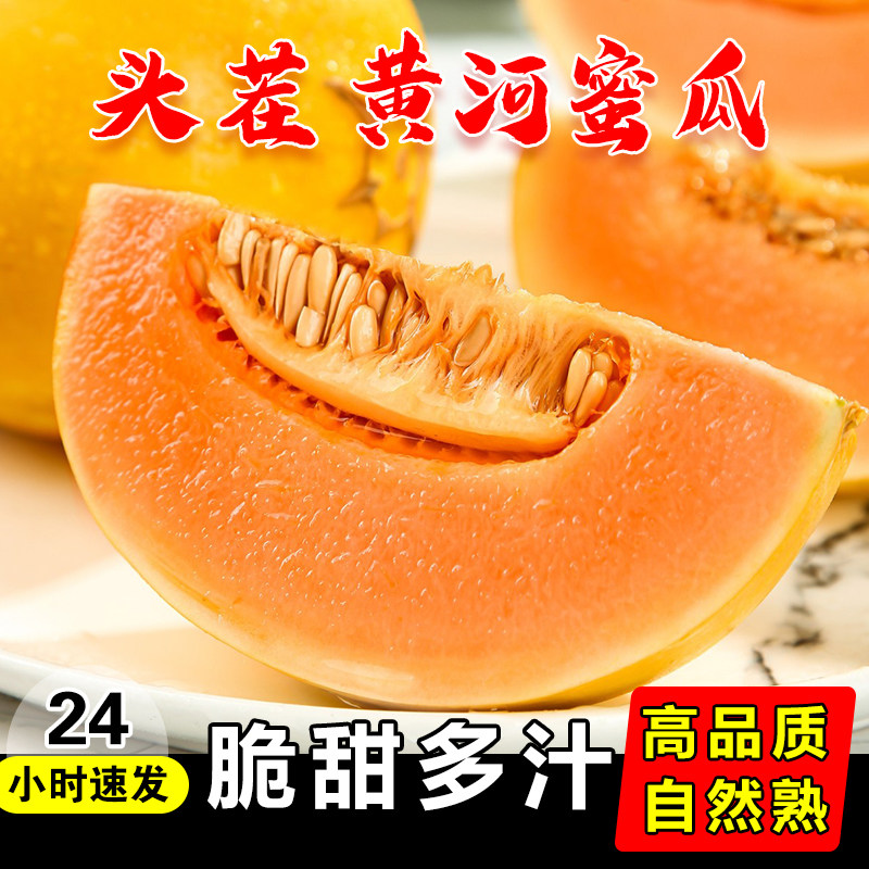 黄河蜜甜瓜新鲜应当季孕妇水果黄金香瓜黄心香瓜蜜瓜民勤黄皮瓜