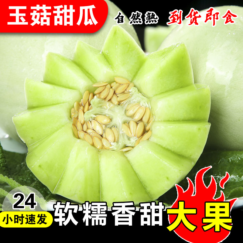 玉菇甜瓜正宗冰淇淋头茬当季粉糯水果蜜瓜小香瓜羊角哈一整箱包邮