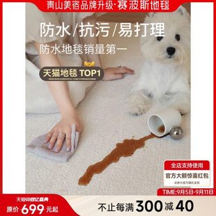 感简约地毯污卧室高级防水美轻奢山青奶油光白月宿客厅 风防法式