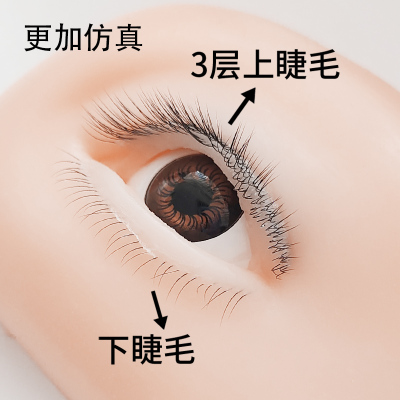 美睫小白练习眼模仿真嫁接练习